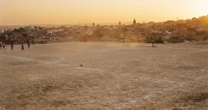 Afrika-Cup-Wettanbieter im Vergleich: 10 lizenzierte Anbieter