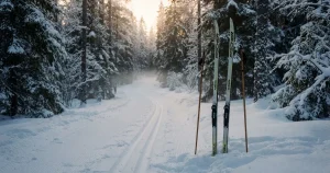 Biathlon Wetten 2026: Anbieter, Regeln und Kosten im Vergleich